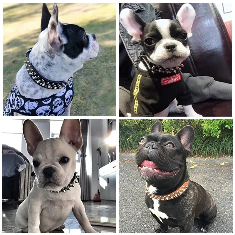 Adjustable Leather Pet Dog Collar | PU Leather Punk Rivet Spiked Neck Strap | Pet Collars for Small Dogs and Cats | Alo Trendy