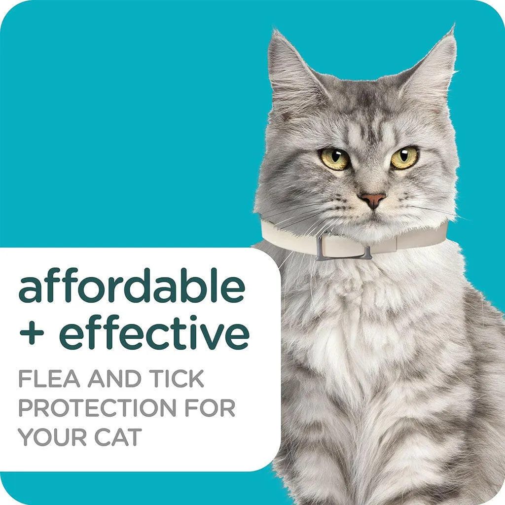 Sergeant's Guardian Pro Flea & Tick Collar for Cats, Fresh Scent, 1 Count